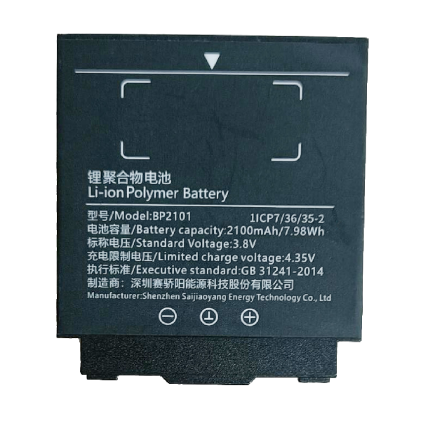 Batterie lithium-polymère 2100 mAh - BP2101